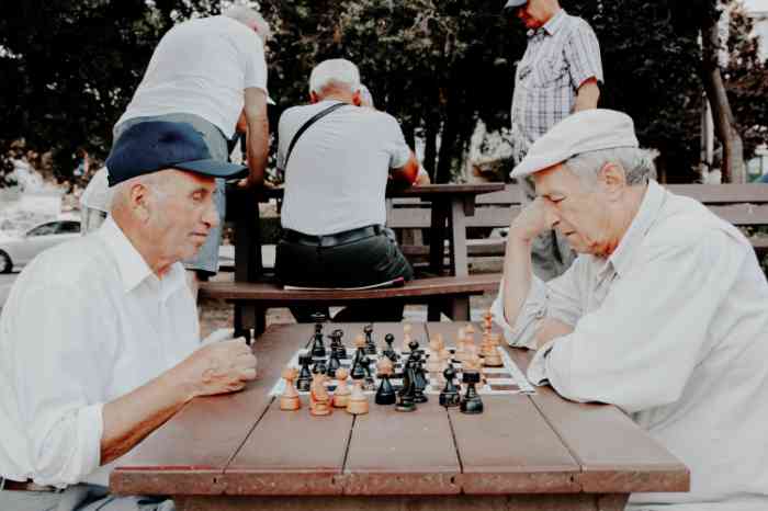 Gentlemen playing chess