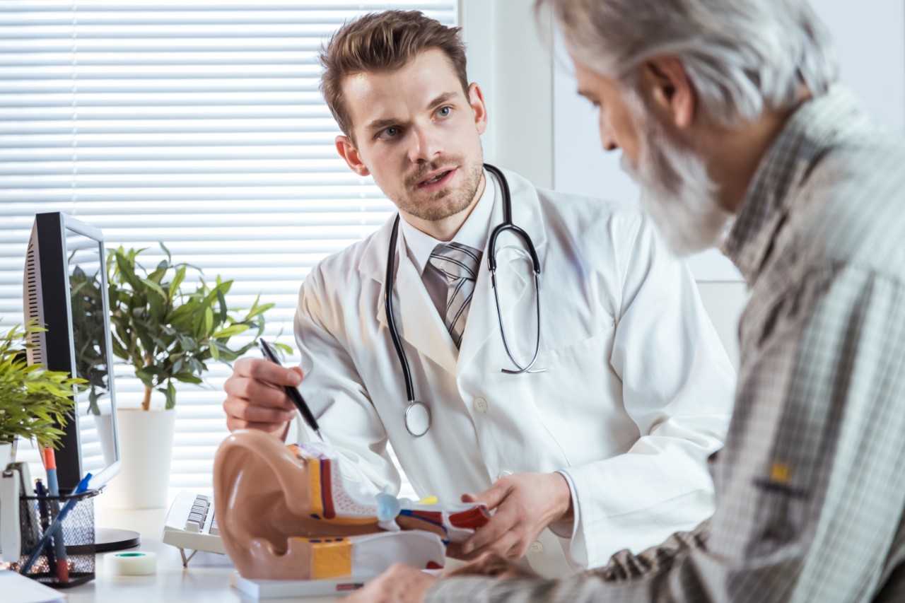 Doctor demonstrating a plastic ear to a patient