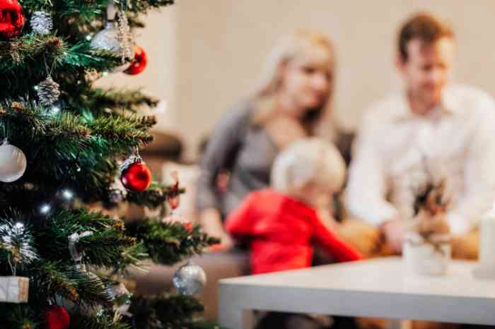 family_Christmas Family at Christmas