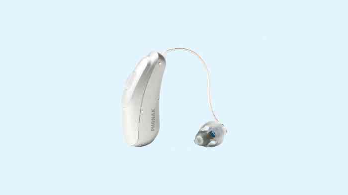 Hearing Aid Types